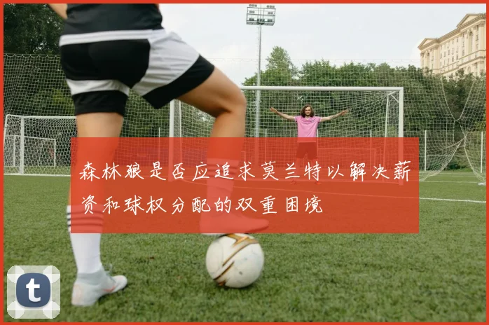森林狼是否应追求莫兰特以解决薪资和球权分配的双重困境