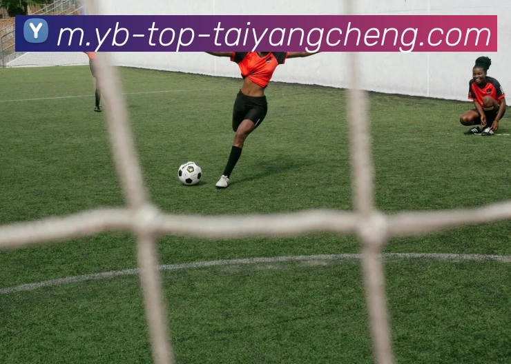 太阳城APP 封面图